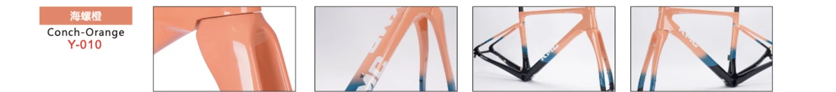 Conch-Orange